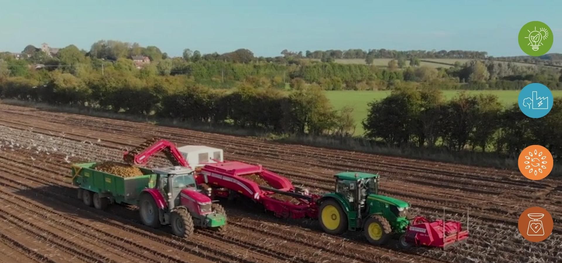 Sustainability at McCain